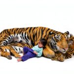 Akashic Books Childrens Sleep Book English Illustrated-0